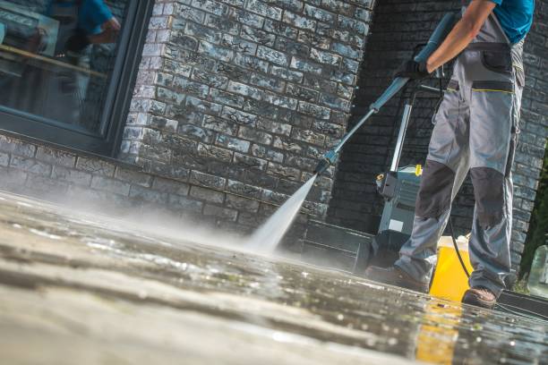 Best Pre-Holiday Cleaning  in Carrizo Hill, TX