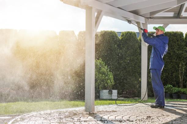 Best Paint Preparation  in Carrizo Hill, TX