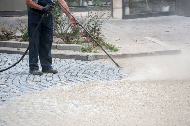 Best Roof Washing  in Carrizo Hill, TX