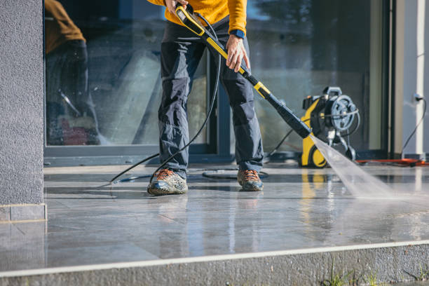 Best Sidewalk and Walkway Cleaning  in Carrizo Hill, TX