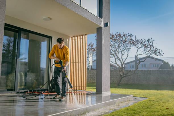Best Patio and Deck Pressure Washing  in Carrizo Hill, TX
