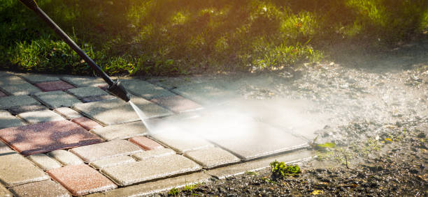 Professional Pressure Washing in Carrizo Hill, TX