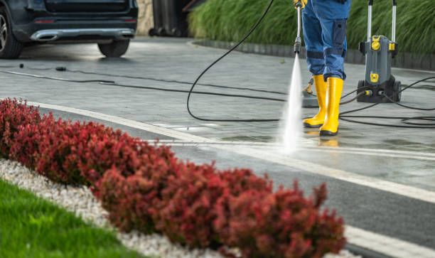 Best Driveway Pressure Washing  in Carrizo Hill, TX