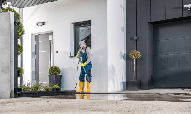 Best Warehouse Cleaning  in Carrizo Hill, TX