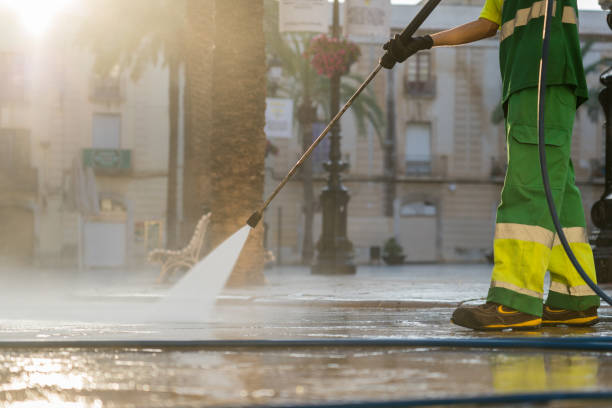 Best Solar Panel Cleaning  in Carrizo Hill, TX
